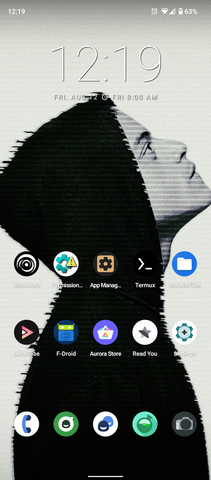 Cellphone Pic